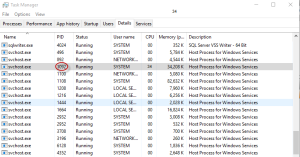 svchost1